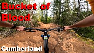 Bucket of Blood - Cumberland 2026