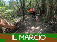 MTB Livorno 23.05.2026 sentiero IL MARCIO