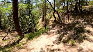 Gold Dust  Blue Flow @ Dollar Mountain ⛰️...