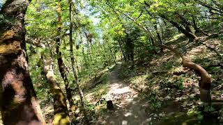 Dollar Mountain Trail  Descending the South...