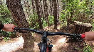 First time into Pear Shaped (first week into MTB)