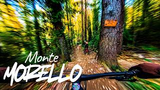 trenino a Monte Morello! BUNKER e TRINCEA #mtb...