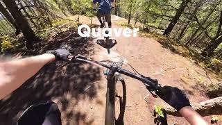 Powell River MTB - Quaver & Hand Solo