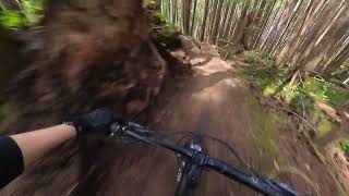 Powell River MTB - Fungi & Fairies Wear Boots