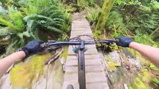 Powell River MTB - Lower OG