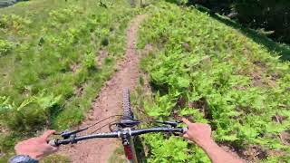 OscarOne B11 - Elvo Natural Trail