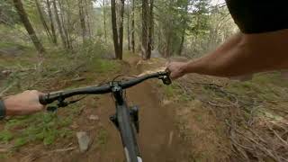 California / MTB | Vol. 55