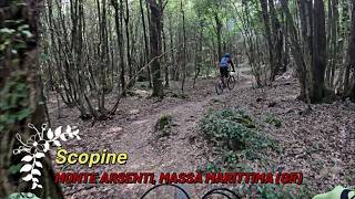 Scopine, Massa Marittima (GR), 04-05-2026