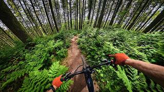 La Dauphinée — Just a Perfect Trail | MTB POV