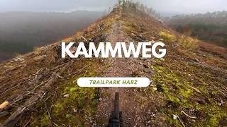 Kammweg  Trailpark Harz  Trail Review ganze...