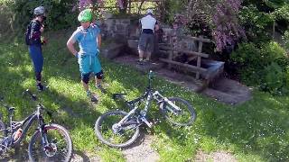 Alpe di Monghidoro (BO), 26-05-2018