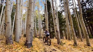 Fat Biking Through a Golden Tunnel: Locket...