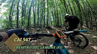 CAI 547, Crespino del Lamone (FI), 27-05-2026