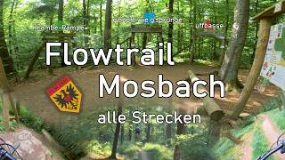 Endlich mal zum Flowtrail Mosbach geschafft!...