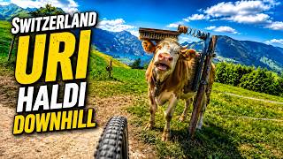 Switzerland | Uri | Haldi Downhill
