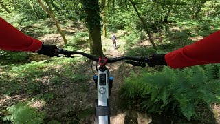 Exploring New Trails At Lydney Woods... One...