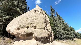 Mountain Springs & Golden Shadows: A New...