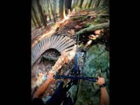 LADIES ONLY - MTB Trail Preview - N....