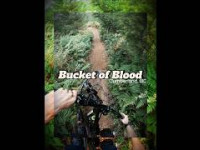 Bucket of Blood - Cumberland, BC - MTB Trail...