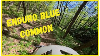 Enduro blue common