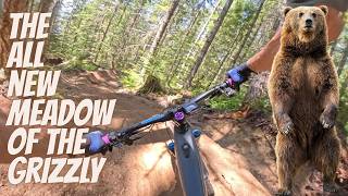 The all NEW MEADOW of the GRIZZLY in SQUAMISH BC