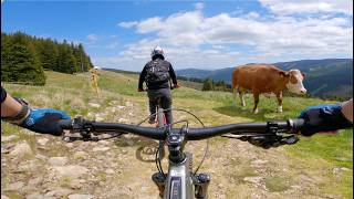 Wexl Trails MTB Descent | Panorama Trails (the...