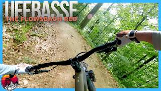 Uffbase - Flowtrail Mosbach // Full Run //...
