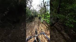 The Guardian - Cala Violina | Punta Ala Trail...
