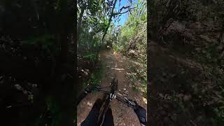 Torretta - Cala Violina | Punta Ala Trail Center
