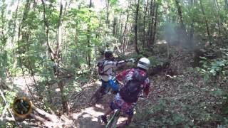 final MTB colli euganei