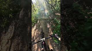 Fast And Furious - Tirli Trail Park