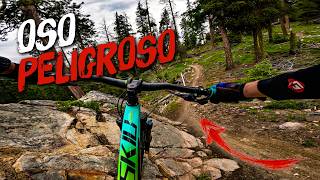 Oso Peligroso MTB Trail | Washington's Hidden Gem