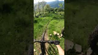 Camí d'Irgo a Llesp