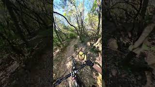 Gagliardo - Bandite Trail Area