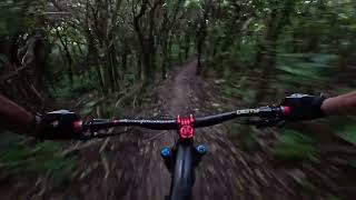 Half Price @ Raingituhi Trail Park, Porirua