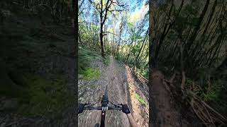 301 Upper Part - Bandite Trail Area