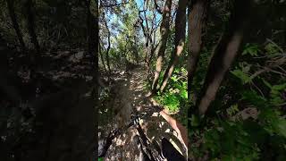 Carbonai - Bandite Trail Area