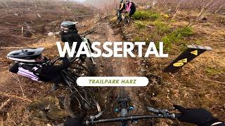 Wassertal ⚫ Trailpark Harz Trail Review...