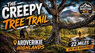 Natural Singletrack, Scenic Highland Bike...