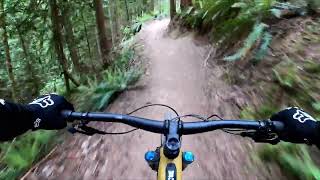 HALF NELSONHalf Nelson full trail