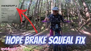 Hope Tech 4 Brakes Squealing? Watch This...