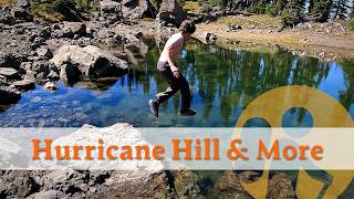 Hurricane Hill & More at Olympic National Park