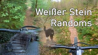 Random Wege (und ne Katze!) // Heidelberg -...