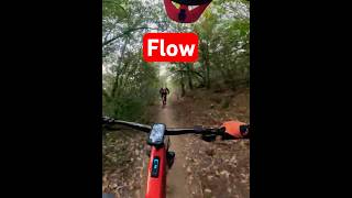 Flow ✿ total en #ebike ⚡️ #mtblife