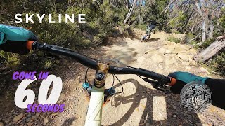 Skyline in 60 seconds