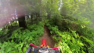 Hemp Hill Blue Mountain (McNutt) Maple Ridge