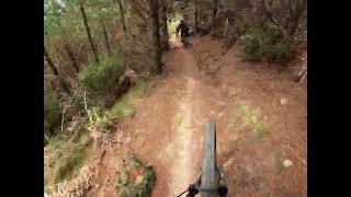 Prospectors