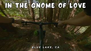 In the Gnome of Love / Blue Lake, CA / MTB