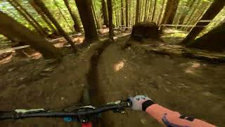 Oneup Sorca DH P.4 race run