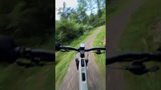Rock Hard and Ride Free on the Colyer Lake...